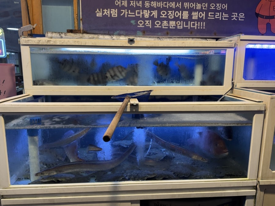 오촌 사진 3