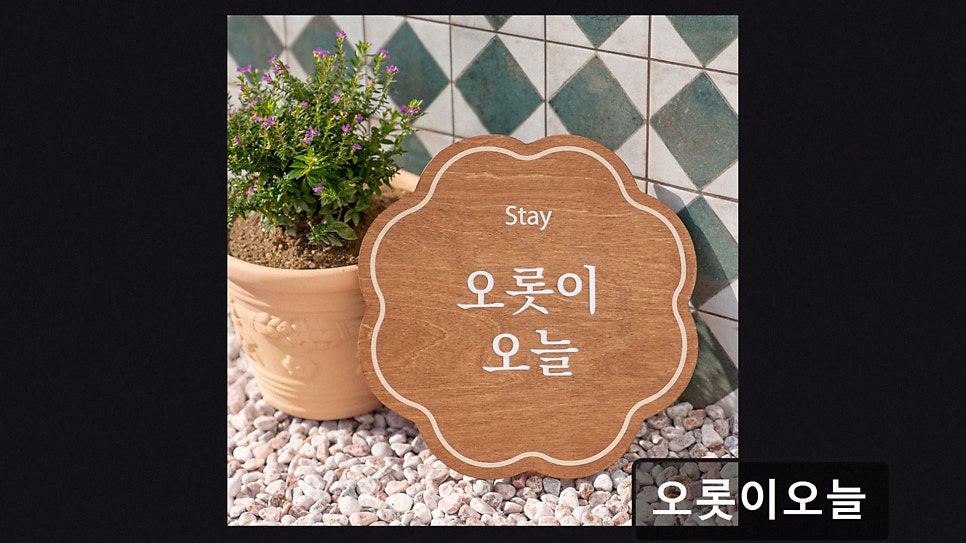 오롯이오늘 사진 2