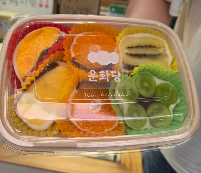 제주 동문시장 운화당 예약 방법 과일모찌 후기