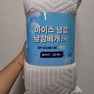 N년차 코코회원의 여름필수템 코스트코 냉감배게 - 알러텍트 아이스 냉감 낮잠베개 후기