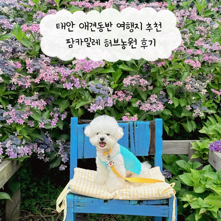 팜카밀레허브농원 사진 1
