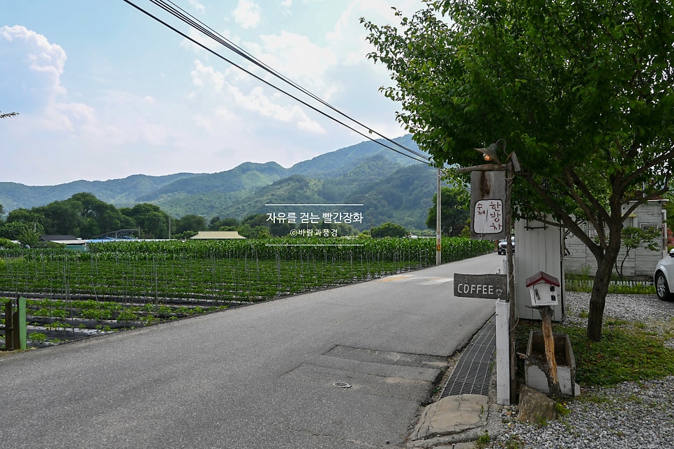 카페소울빈 사진 3