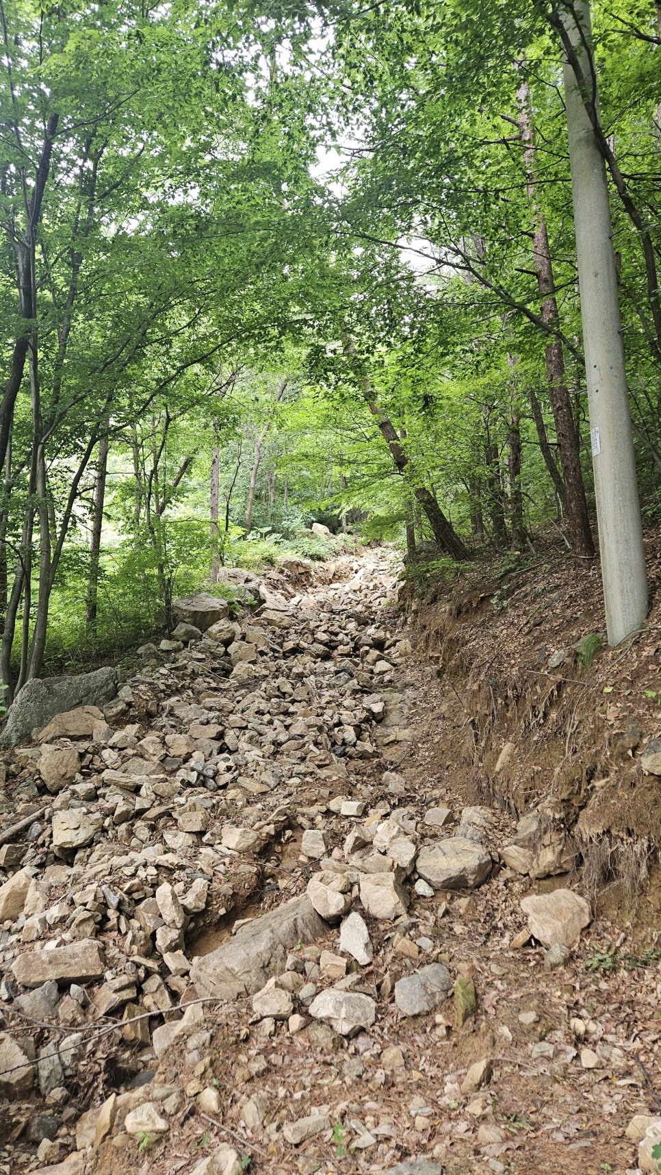 내동산 사진 6