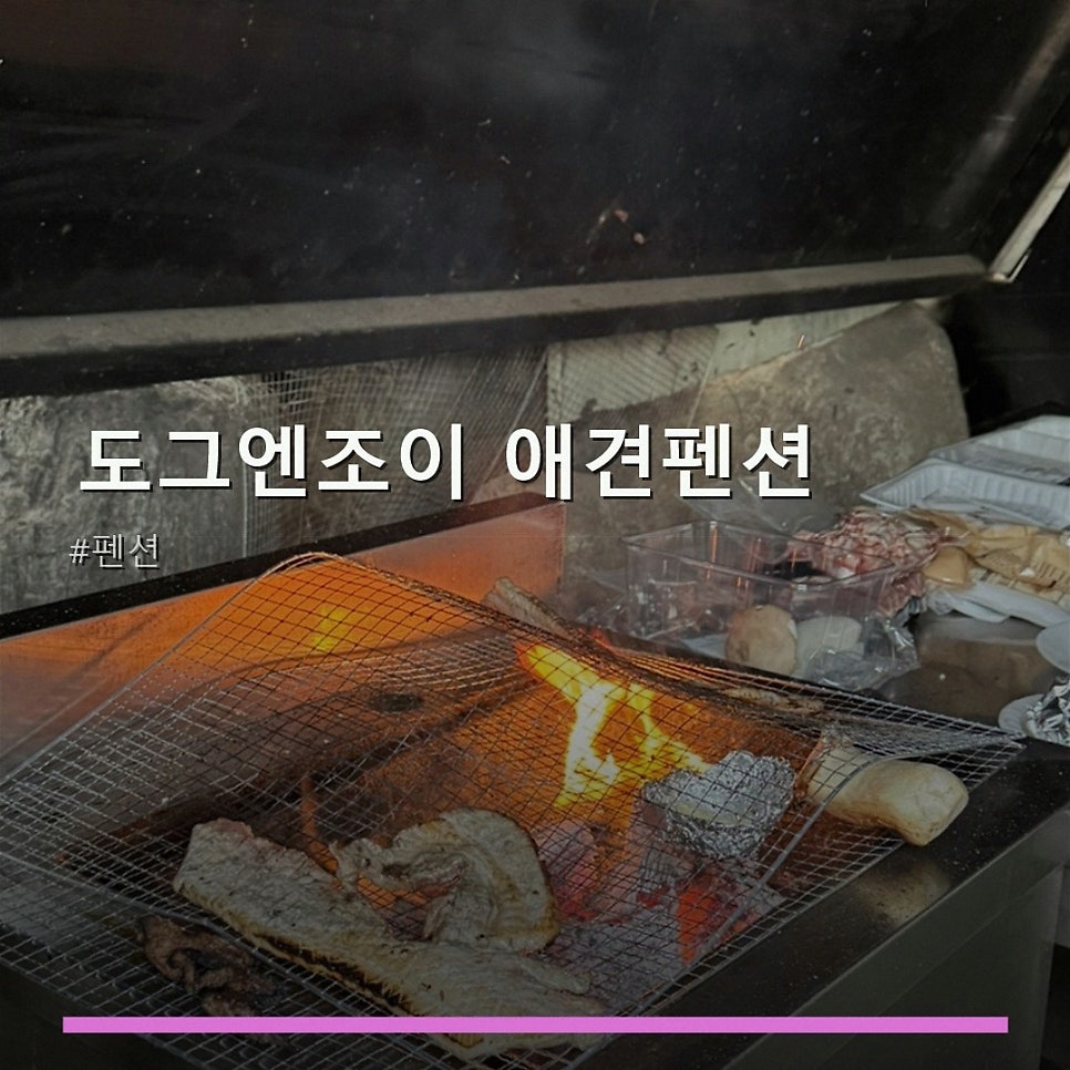 도그엔조이 사진 1