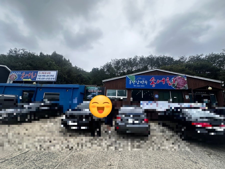 봉산암반수송어회 사진 2