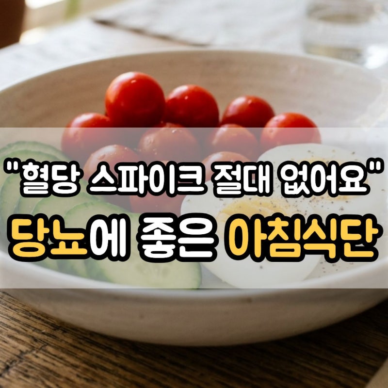 당뇨 아침 식단 추천, 혈당 스파이크 없는 간편식 3가지