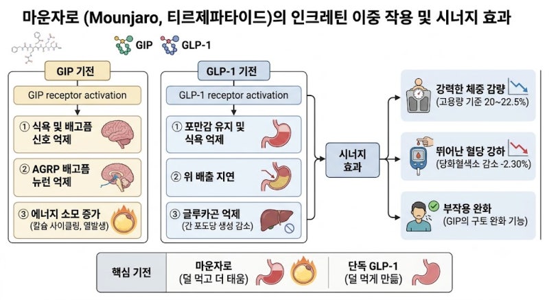 마운자로 (티어제파타이드 Tirzepatide) - 금주 금연에도 효과 있다는데