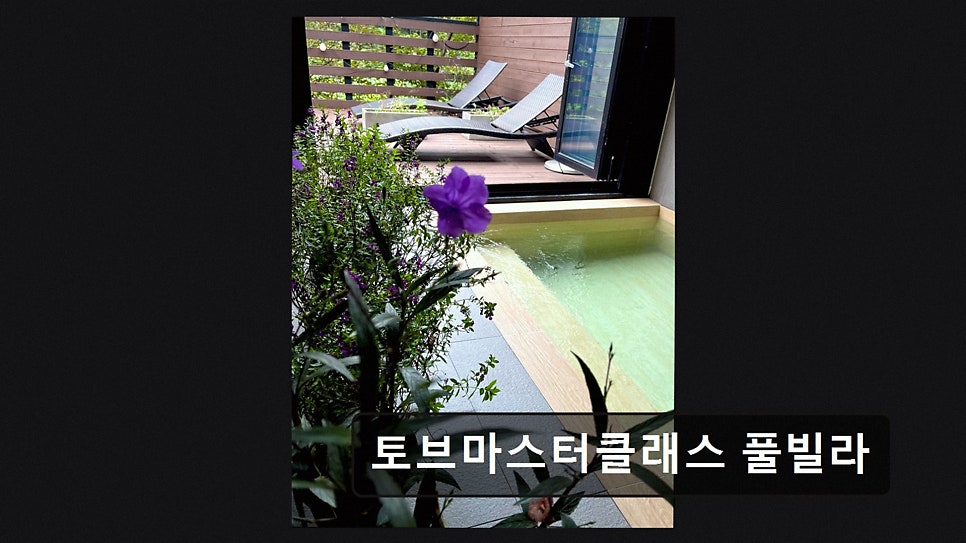 토브마스터클래스 사진 4