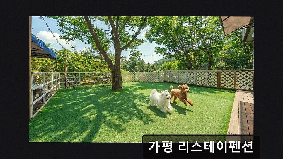 리스테이 사진 3