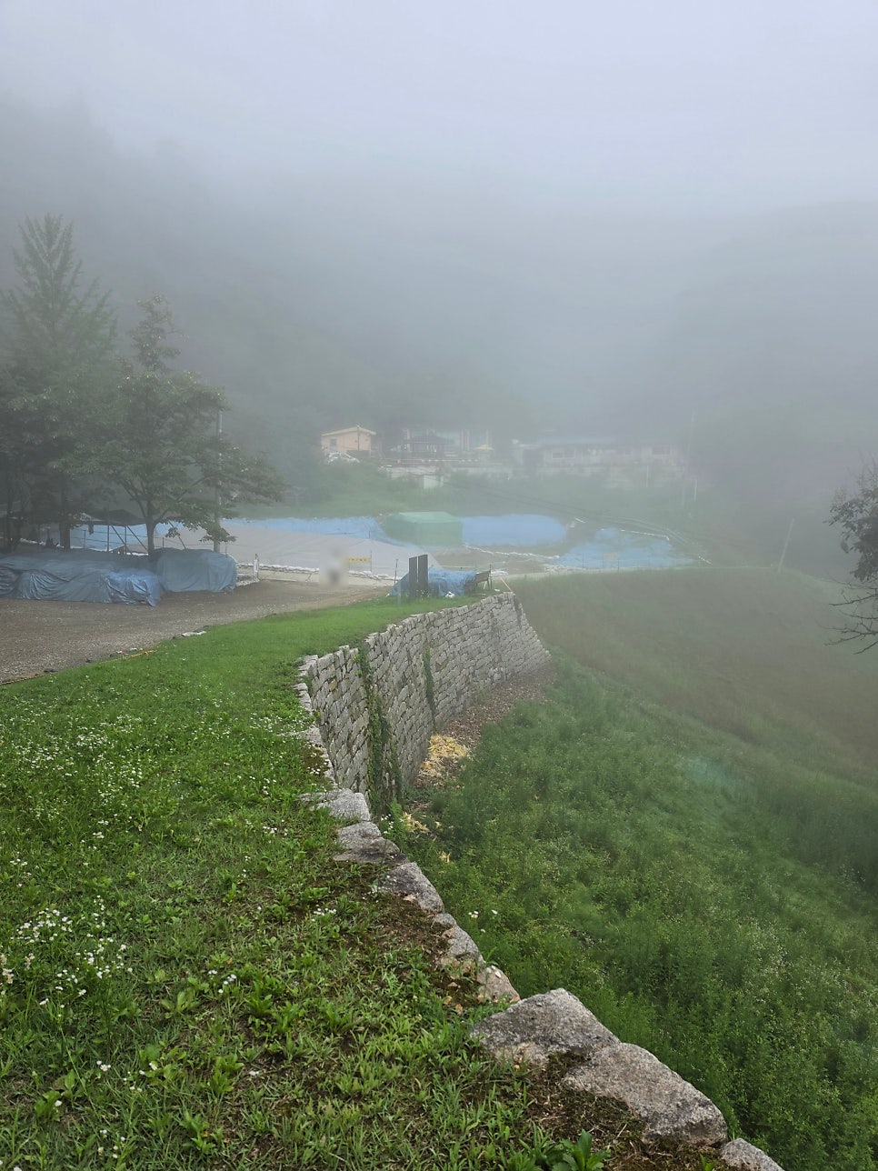 장미산 사진 1