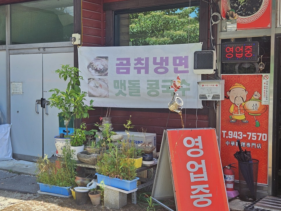 마리반점 사진 5