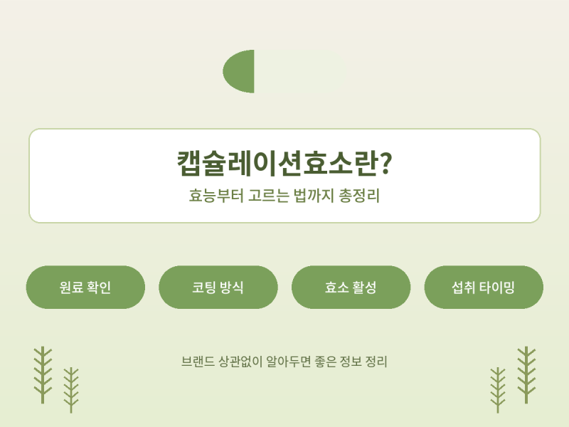 캡슐레이션효소란? 캡슐레이션효소효능부터 고르는 법까지 정리