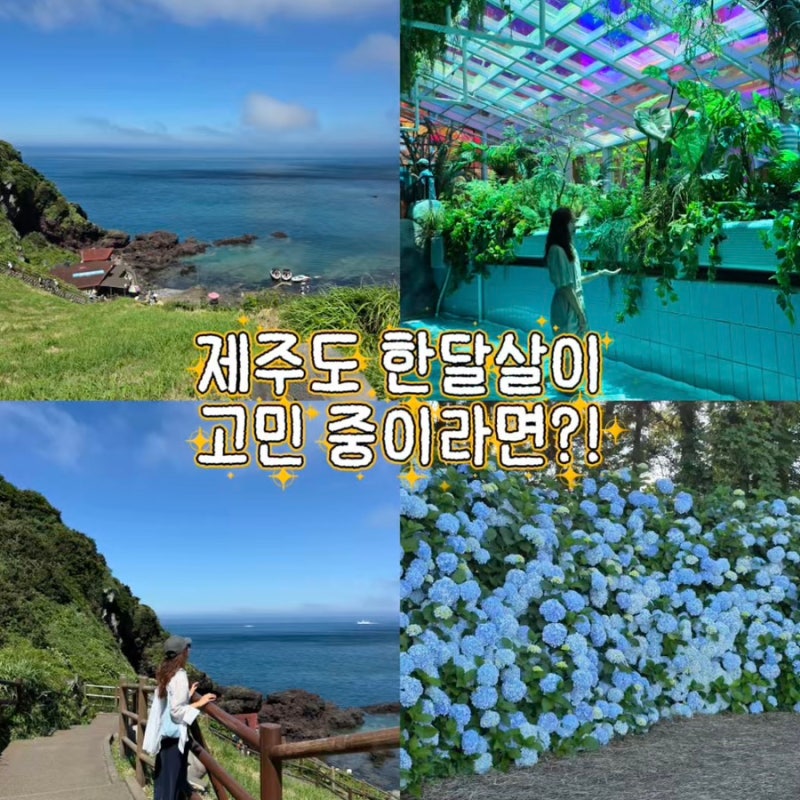 제주도 한달살기 숙소 단기임대 준비 및 3만원 지원금