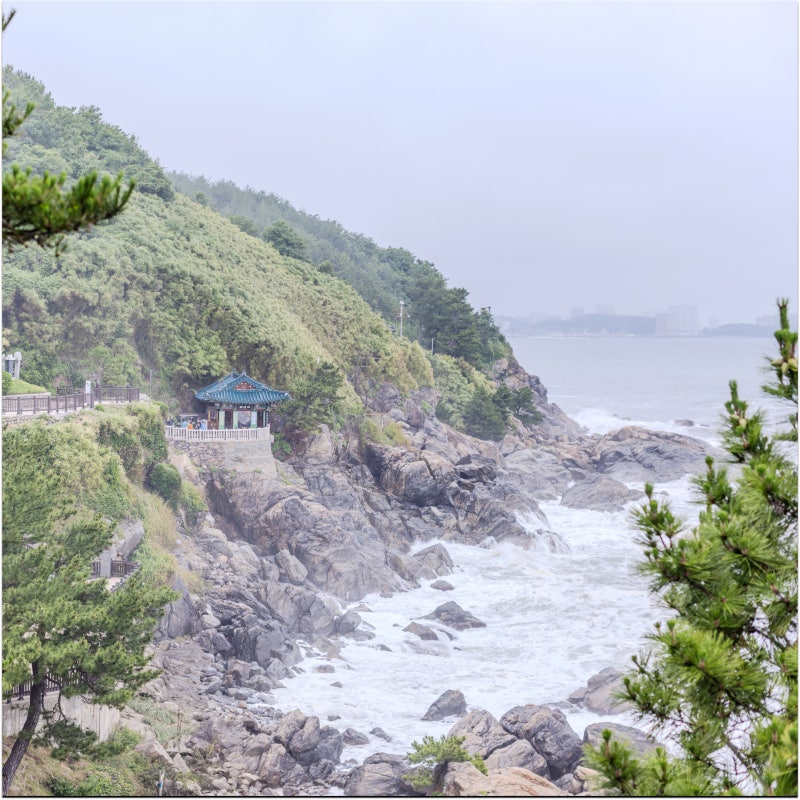 강원도 · 동해 • 양양 가볼 만한 곳 추암해변 촛대바위 사찰 낙산사 의상대 · 홍련암 동해....