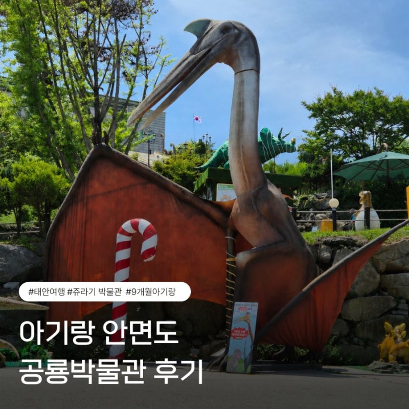 9개월 아기랑 2박 3일 평택·아산·태안 여행(3) | 안면도 쥬라기박물관 후기 수유실 주차 입장....