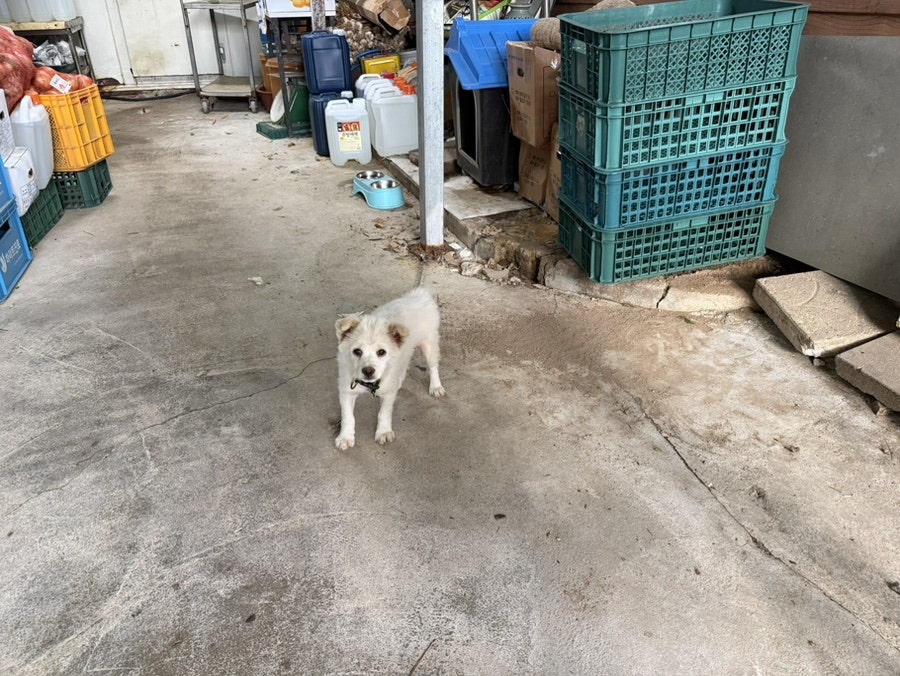 정숙가든 사진 5
