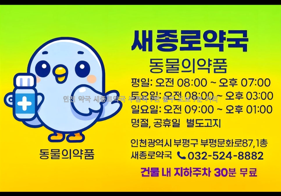 새종로약국 사진 1