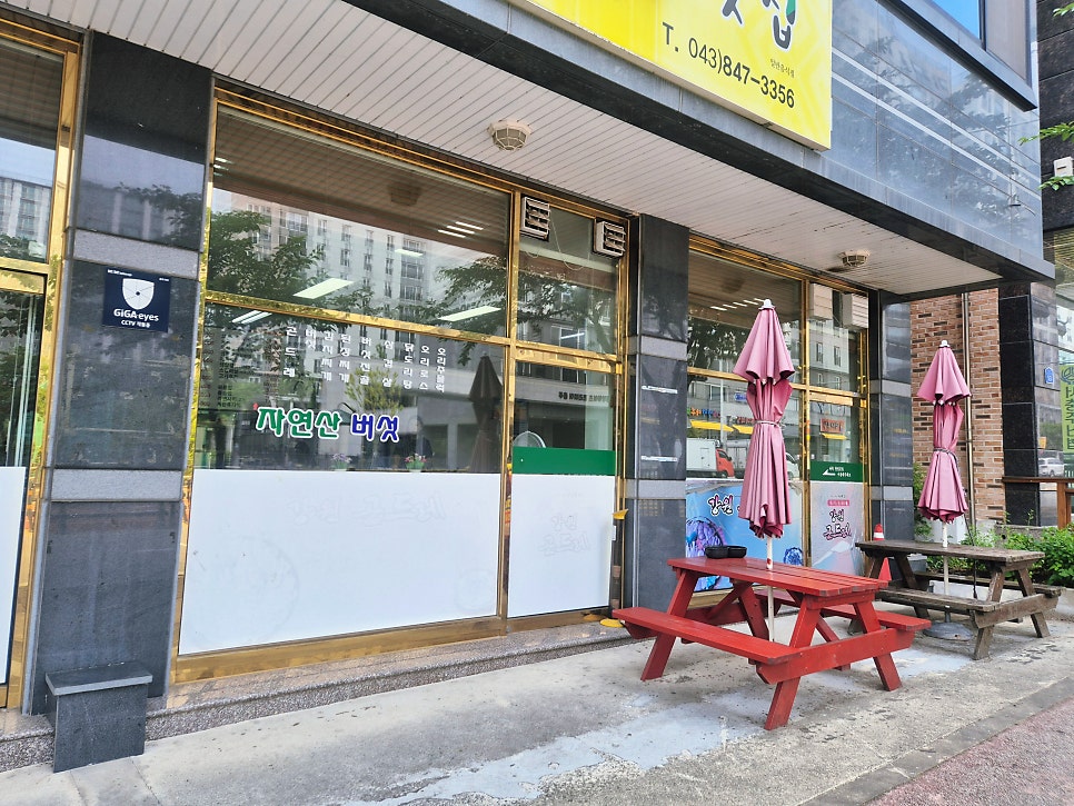 강원곤드레맛집 사진 3