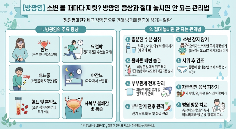 [방광염] 소변 볼 때마다 찌릿? 방광염 증상과 절대 놓치면 안 되는 관리법