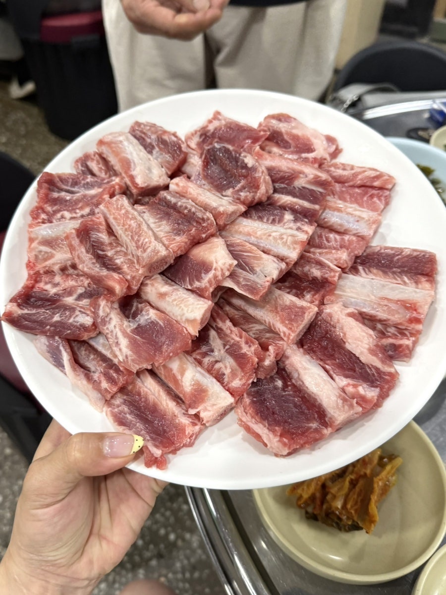 반갑다돼지야 사진 3