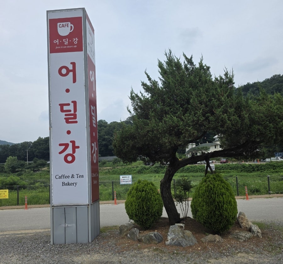 어딜강 사진 2