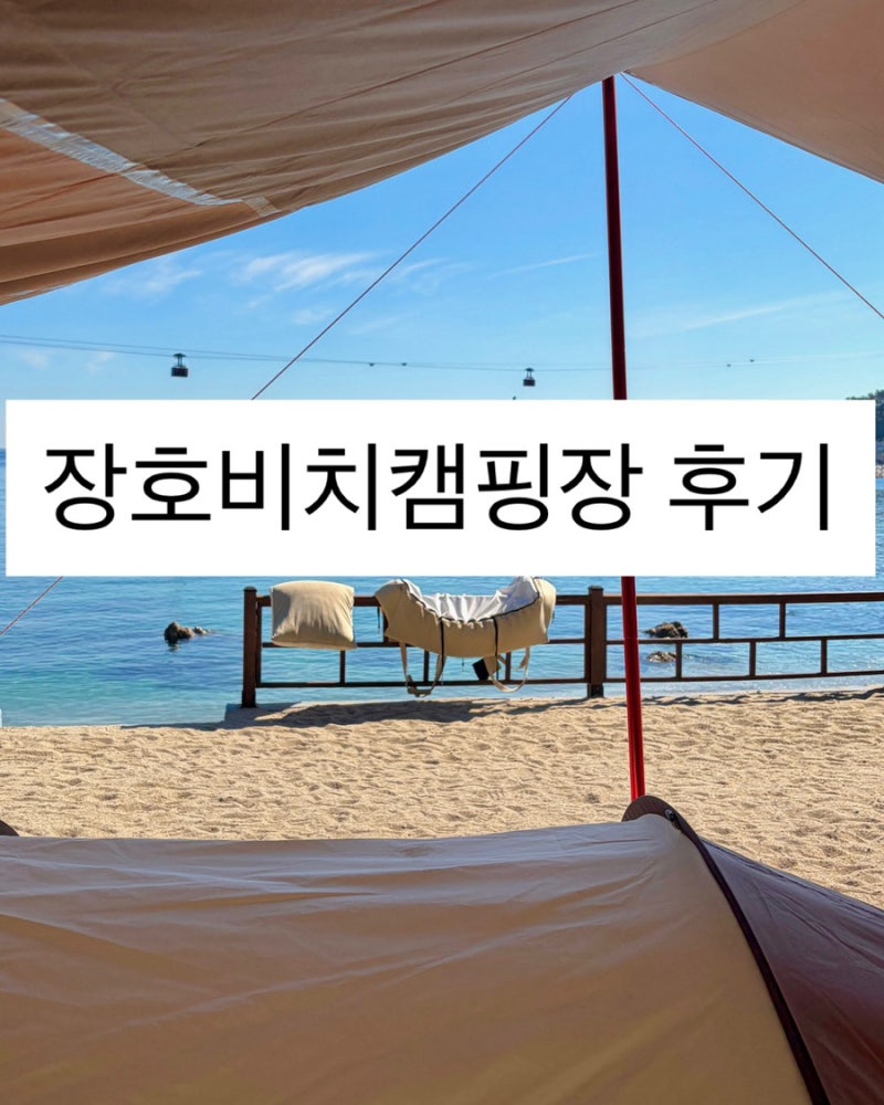 장호비치캠핑장 D사이트 2박 후기! 명당 차박 & 애견동반 스노쿨링 수영 팁