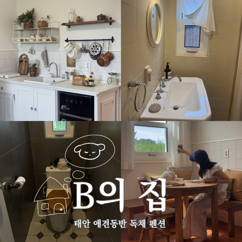 태안 애견동반 독채 펜션 추천｜감성 숙소에서 반려견과 힐링 | B의 집