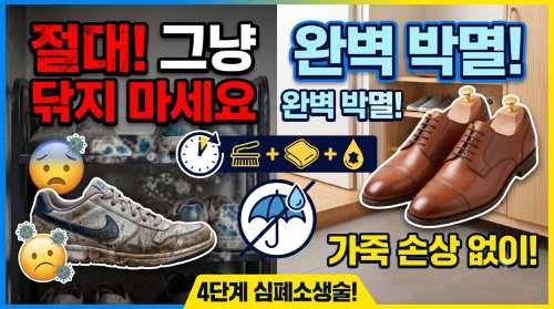 신발장 열었다가 깜짝! 가죽 구두 손상 없이 하얀 곰팡이 지우고 완벽 소독하는 법