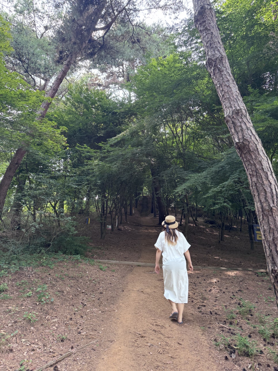 남산 산림욕장 사진 6