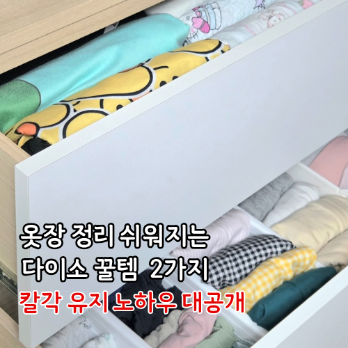 옷장 정리 쉬워지는 다이소 꿀템 2가지 서랍장 칼각 유지 노하우 대공개