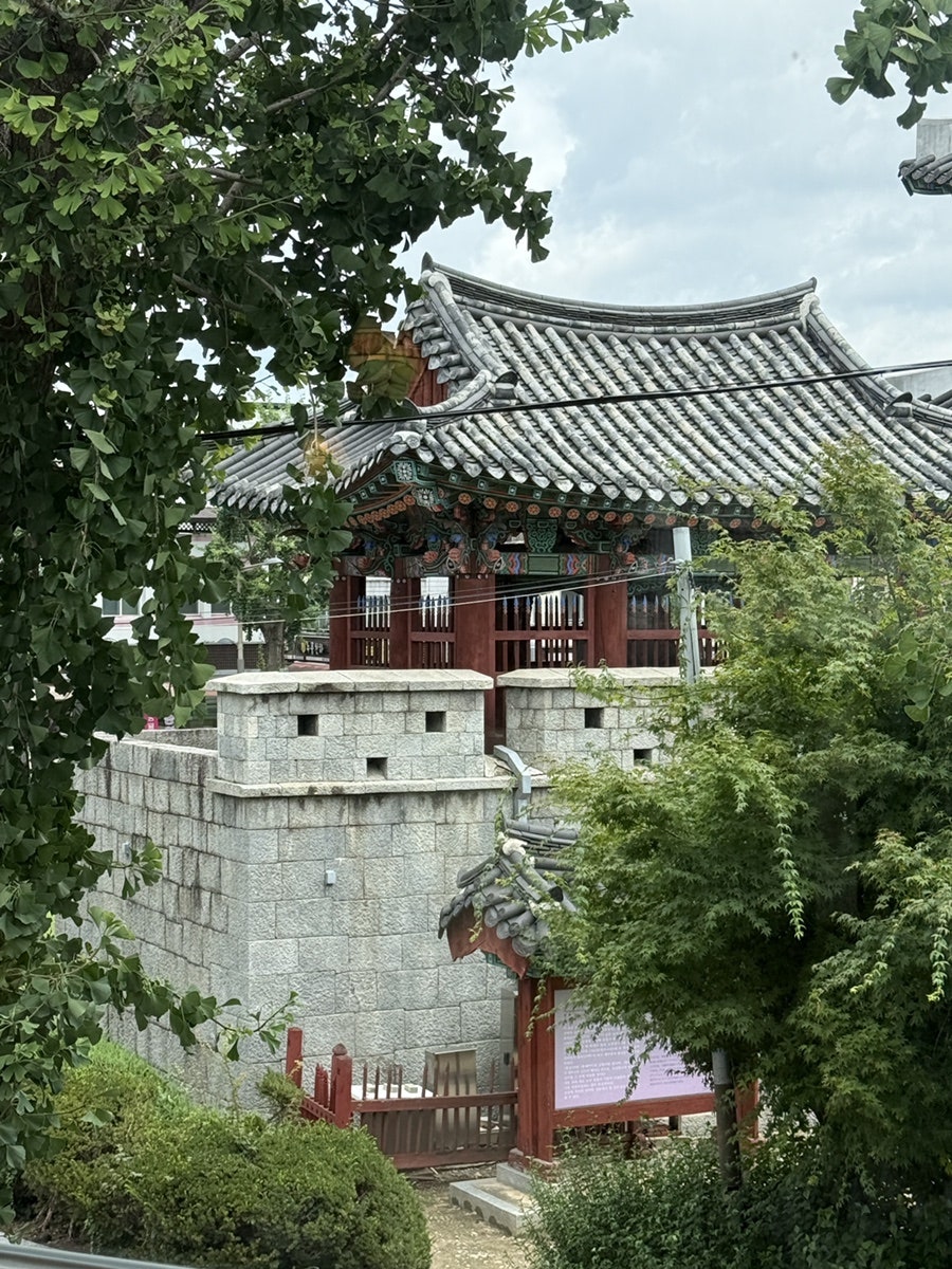 홈댄스 사진 5