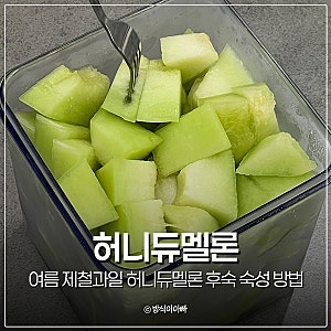 여름 제철과일 메론 허니듀멜론 후숙 숙성 방법 머스크 차이
