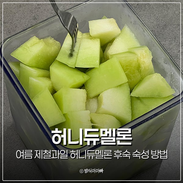 여름 제철과일 메론 허니듀멜론 후숙 숙성 방법 머스크 차이