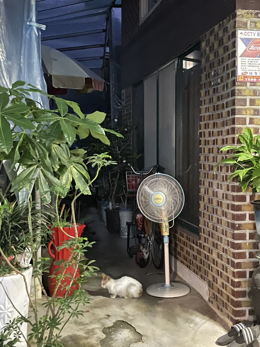 대왕산삼백숙본가 사진 1