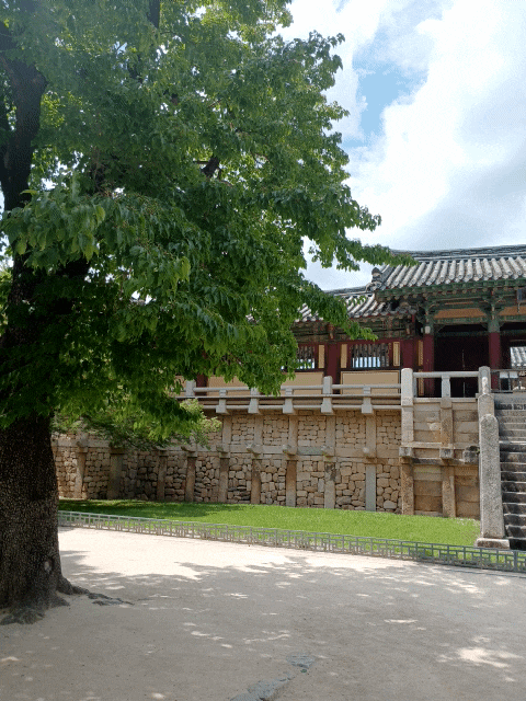 경주 불국사 주차장부터 대웅전까지, 평일 여름 여행 솔직 후기