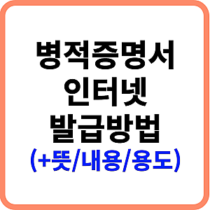 병적증명서 인터넷 발급 및 PDF 저장 가이드 (+ 뜻, 내용, 용도는?)