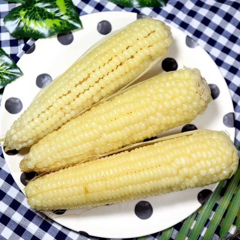 옥수수 찌기 찌는법 맛있게 찰옥수수 찌는방법 삶은 냉동 옥수수 해동 데우기 설탕 뉴슈가 ....