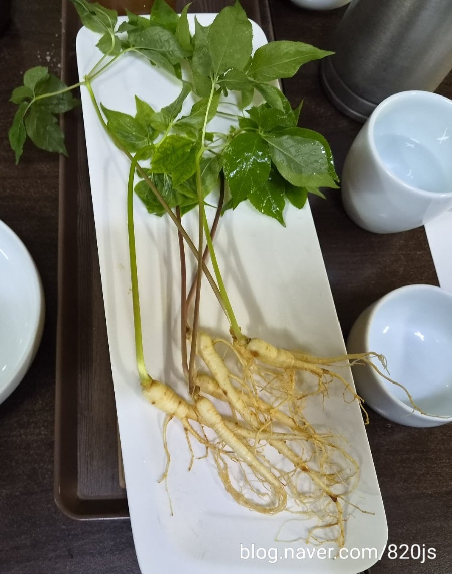 대왕산삼백숙농원 동학사점 사진 6