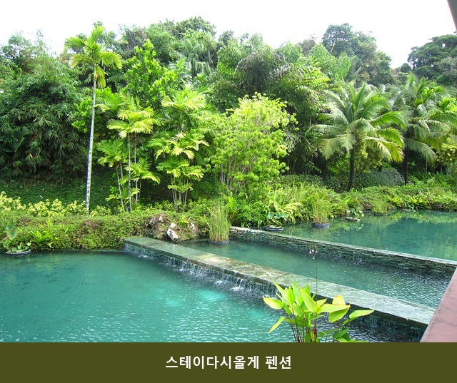 스테이다시올게 사진 2