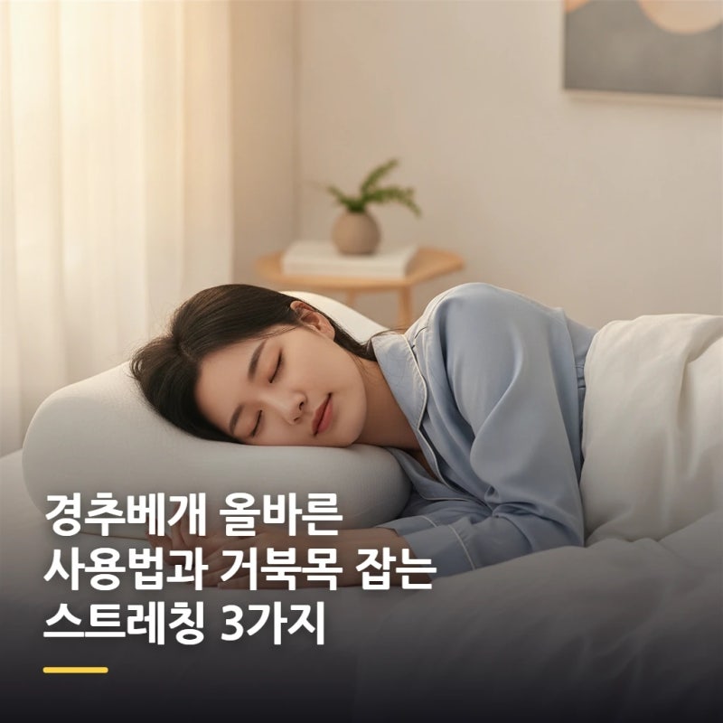 경추베개 올바른 사용법과 거북목 잡는 스트레칭 3가지