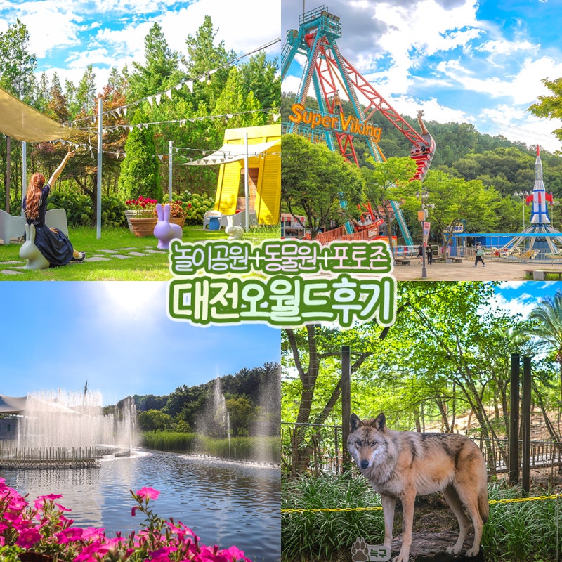 대전 아이와 가볼만한곳 대전 오월드 놀이공원 동물원 놀거리