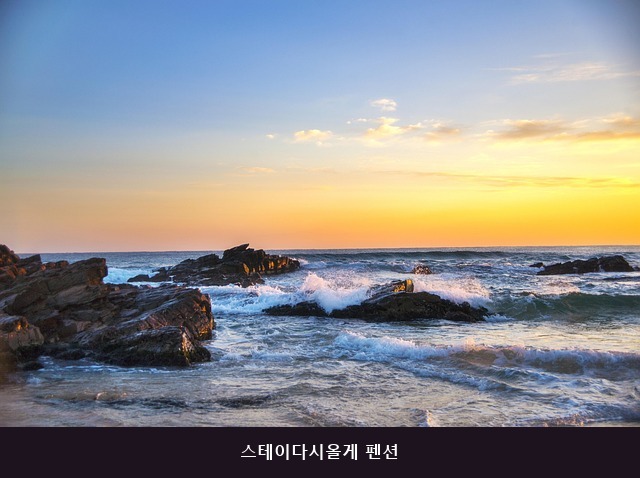 스테이다시올게 사진 4