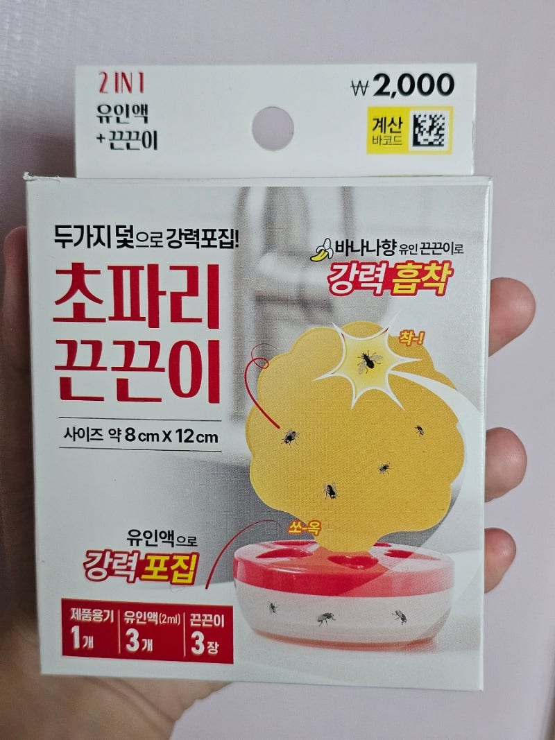 [일상] 다이소 초파리 끈끈이 후기. 당장 사세요 진짜 바이럴 아님. + 설치/교체/제거 방법