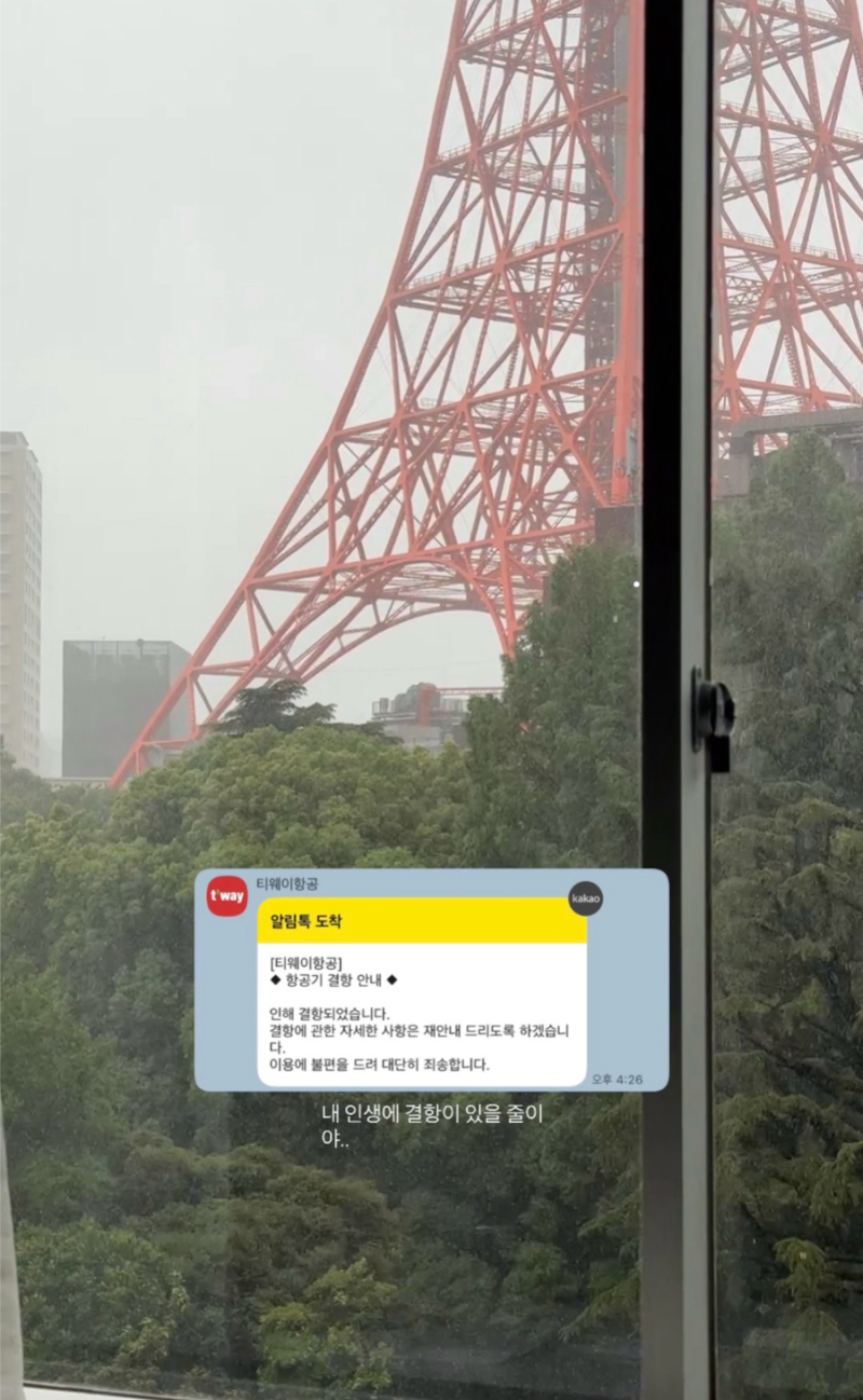 여행지에서 태풍으로 비행기 결항됐을때 .. 여행자보험 청구하기 (롯데 앨리스 여행자보험)