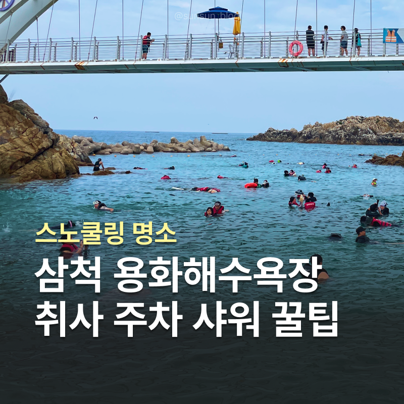 삼척 스노쿨링 명소 용화해수욕장 완벽 가이드 주차 취사 샤워