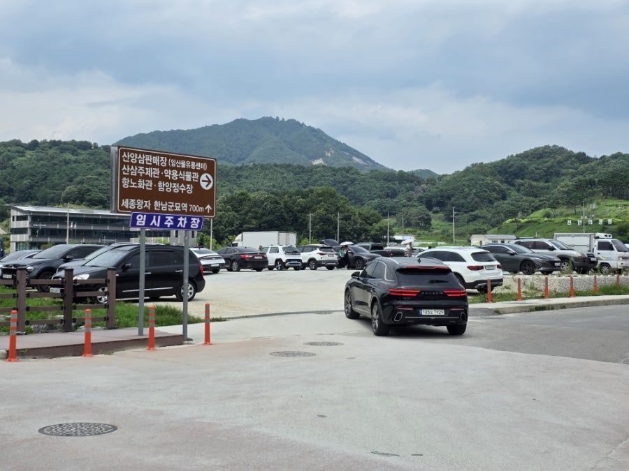 산양삼산업화단지 산삼주제관 사진 2