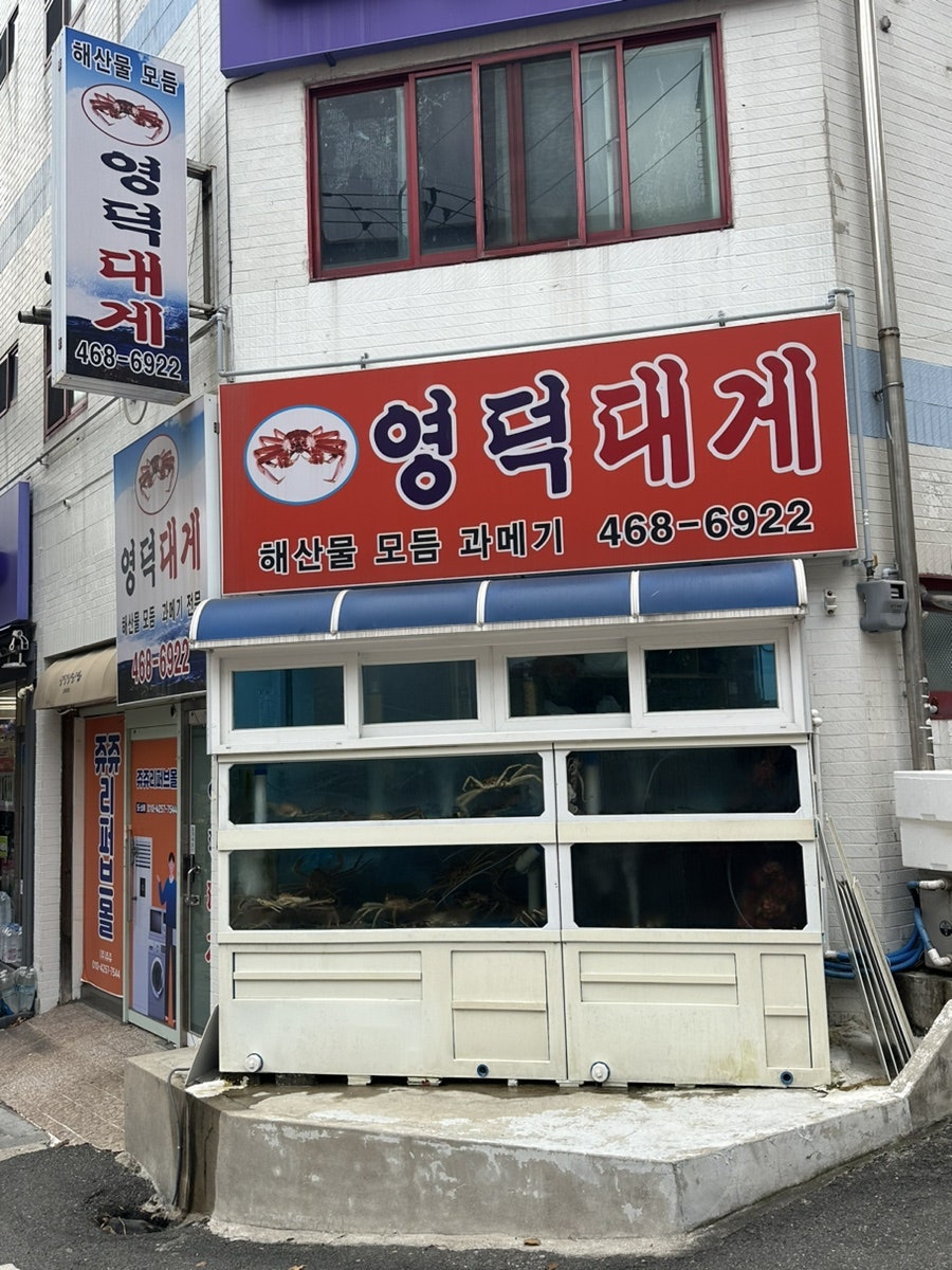영덕대게 사진