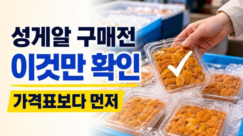 속초 중앙시장 성게알 사기 주의: 가격표보다 먼저 봐야 할 신선도·포장 체크법