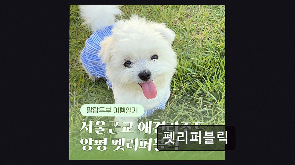 펫리퍼블릭 사진 3