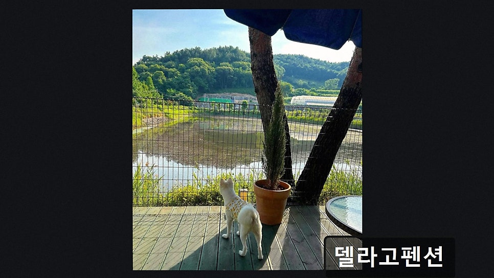 델라고펜션 사진 2